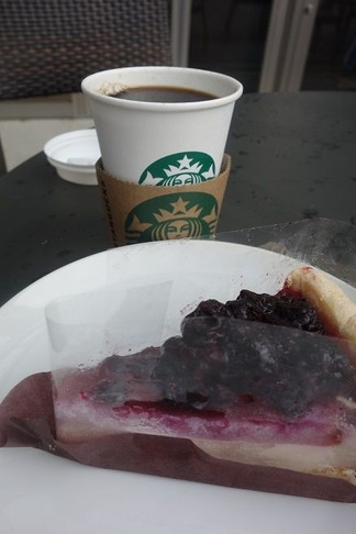 �֥롼�٥꡼�쥢�������ѥ�