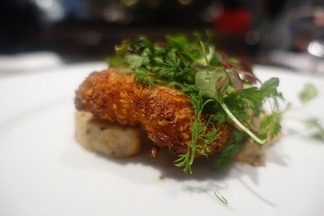 ¥Õ¥©¡¼¥Á¥å¥ó¥¬¡¼¥Ç¥ó¥¥ç¥¦¥È