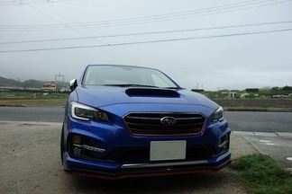 ����������ӣԣ�Sports