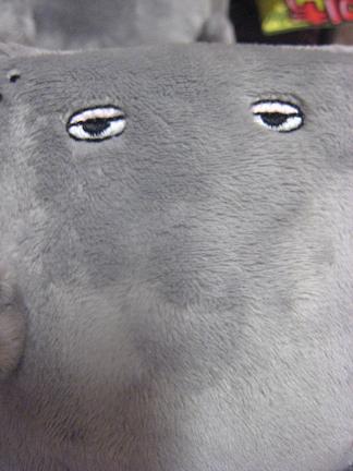 �̤꤫��