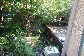 �ӥե����ֻܹ�����