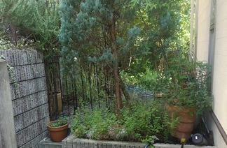 �ӥե����ֻܹ�����