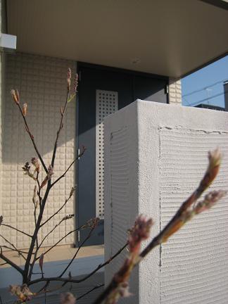 ����ꥫ�����ե�ܥ�