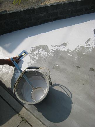 ���졼�����ڡ����ɹ����桪