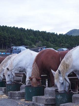 �Ϥο�������