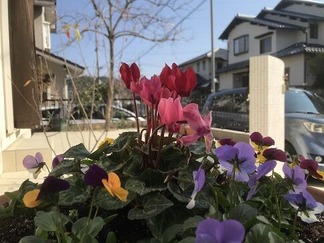 �����ǥ�ƥ饹