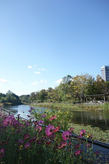 犬と過ごす 浜名湖ガーデンパーク ガーデニング工房 風我里 滋賀から発信