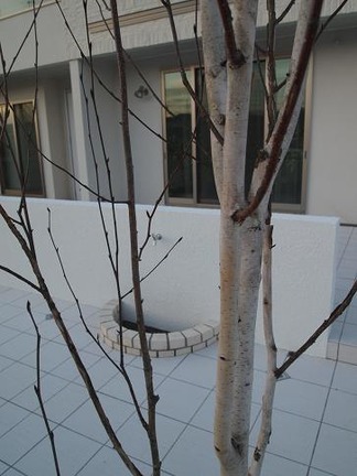 ���饫�Х��㥳���ƥ���