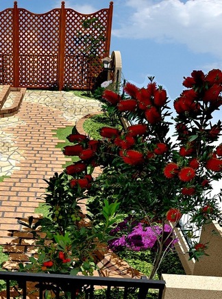 �������᡼����