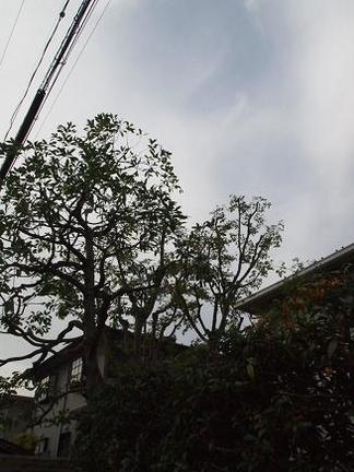 ��������ִ����Ǥ���