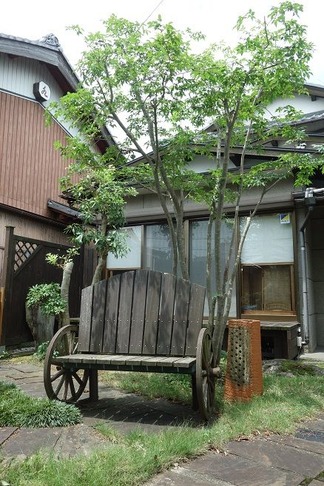剪定施工後「アフター」