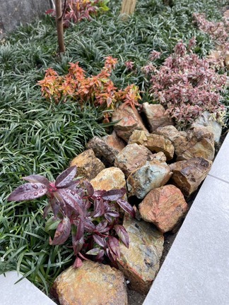 植栽