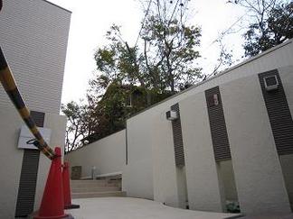 ��ä�����������ȥ��