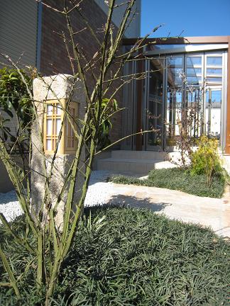 �������饸���ޤ�į���