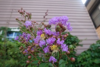 ���ޡ������ޡ�