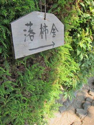 ����ˤؤδ���