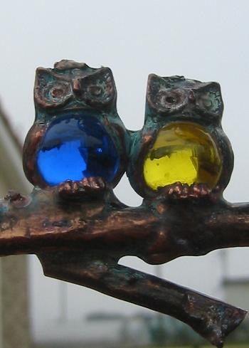 �դ�����