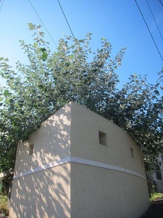 ������į���