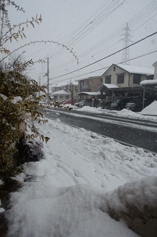 大雪