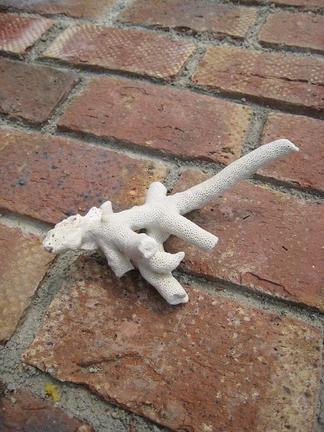 �����Ѱ������ϻž夲