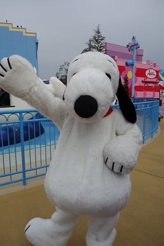 ���̡��ԡ�