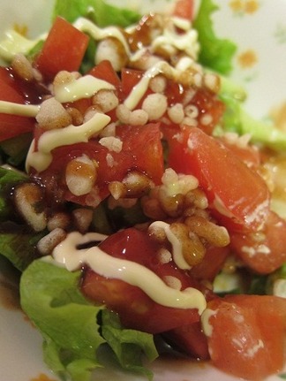 ÈþÌ£¤·¤¤¥µ¥é¥À