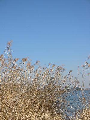 �襷�����ʸ�