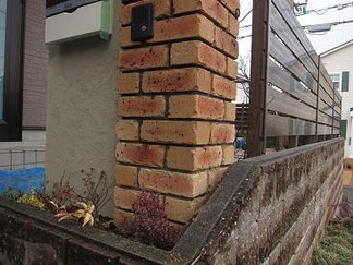 ����Υ�ե�����