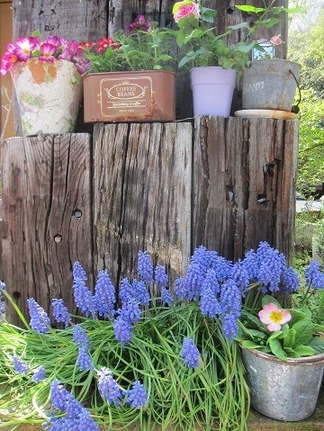 ���ڤȤ���