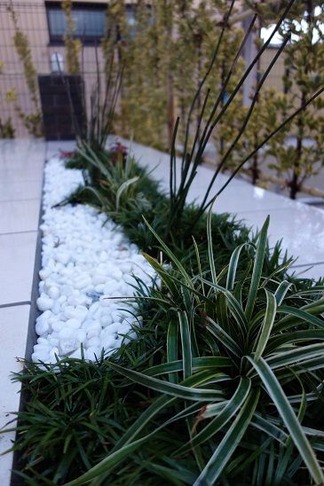 ���۳���¤�๩��