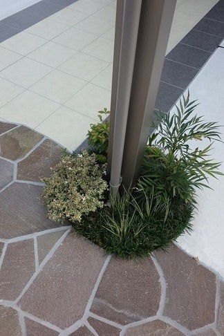 樹木植栽