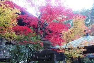 金剛輪寺