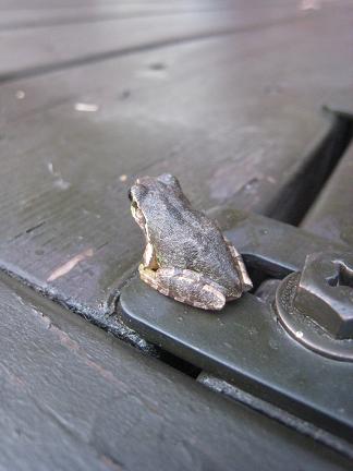 ���ޥ�����