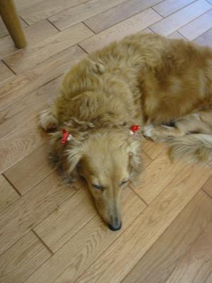 ���뤫������