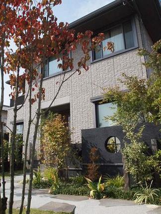 ���إݡ����ؤȸ�����ƻ