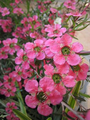 �����奦�Х��β֡�������