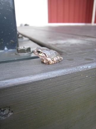 ���åɥǥå��ȥ��ޥ�����