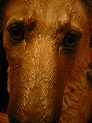 �����ѡ���