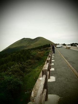 ���ɻ��ηʿ�