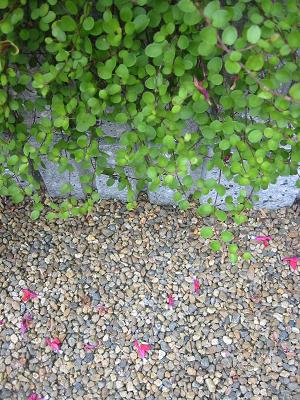 �����֡�����