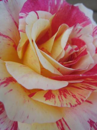 �⡼�ꥹ����ȥ��