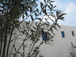 ���꡼�֡����ץ�å�����