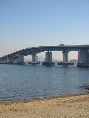 ���ʸ��綶