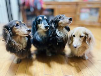 ���å����ե��