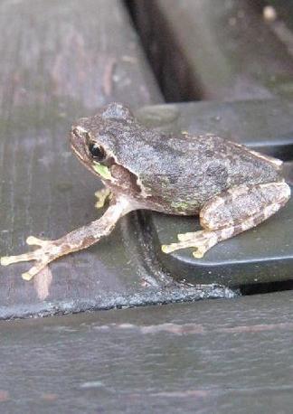 �ɤ��عԤ��Τ�