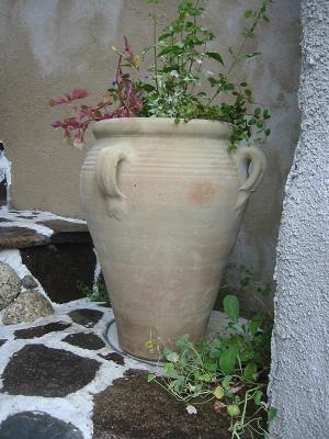 �ƥ饳�å��ݥå�