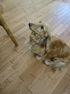 �᤯������