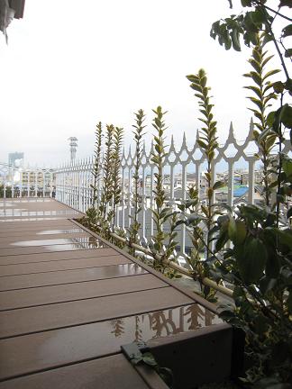 �͹�����०�åɥǥå�