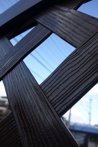 �ץ���ե����ɥѥͥ�