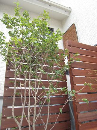 ���åɥե���